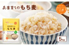 兵庫育ちの もち麦 5kg[国産 キラリモチ 食物繊維 ]