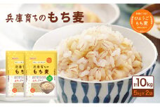 兵庫育ちの もち麦 10kg [国産 キラリモチ 食物繊維 ]