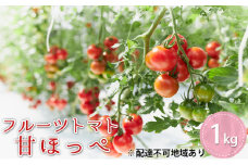 フルーツトマト 『 甘ほっぺ ( フルティカ )』1kg[ トマト ミディトマト 野菜 完熟 ]