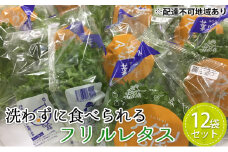 植物工場産　洗わずに食べられるフリルレタス　12袋セット [野菜 水耕栽培 栽培期間中農薬不使用]