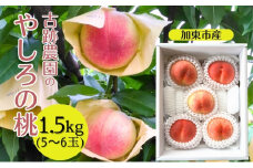 桃 加東市産 古跡農園の『 やしろの桃 』1.5kg（5～6玉）[ もも モモ 果物 フルーツ ]