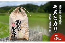米 令和6年産 加東市東条地区産 キヌヒカリ 白米 5kg [ お米 こめ コメ きぬひかり 兵庫県産 ごはん 精米 ]