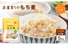 【定期便12回発送】兵庫育ちのもち麦5kg　[食物繊維 もちむぎ キラリモチ 国産 健康 加東市]