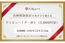 アソビュー！ ふるさと納税 クーポン 3,000円分【 兵庫県 加東市 】
