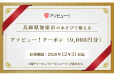 アソビュー！ ふるさと納税 クーポン 9,000円分【 兵庫県 加東市 】