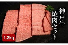 神戸牛焼肉セット（1.2kg） [肉 牛肉 神戸牛 最高級肉 神戸ビーフ 神戸肉 但馬牛 ロース もも かた 食べ比べ 焼肉 お取り寄せ 加東市 兵庫県]