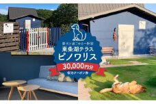 東条湖テラス ピノワリス 宿泊クーポン券 3万円分 愛犬と過ごせる一軒家　宿泊 旅行 クーポン ドッグラン 愛犬 犬 東条湖 加東市