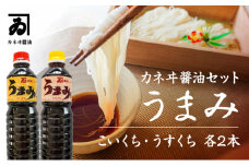H-88　【明治2年創業 カネヰ醤油】風味醤油「うまみ」こいくち・うすくち各500ml×2本セット