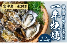 H-11【12月〜3月限定】 室津産殻つき牡蠣2.2kg