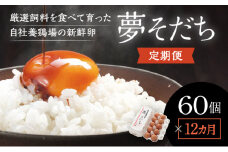 D-3【12カ月定期便】お届け日時の指定必須「夢そだち60個」厳選飼料を食べて育った自社養鶏場の新鮮卵を♪