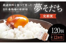 C-3 【12か月定期便】お届け日時の指定可能「夢そだち120個」厳選飼料を食べて育った自社養鶏場の新鮮卵を♪