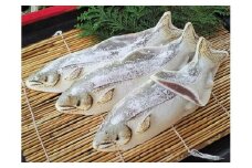 H-34  播磨新宮銘菓  鮎のすがた焼き