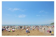 F-26 新舞子潮干狩り・海水浴ファミリーチケット
