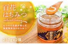 H-73【国産無添加】たつのの自然が育んだ天然「百花はちみつ」250g×2瓶