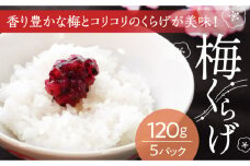 H-83【国産紀州南高梅使用】梅くらげ120g×5パック