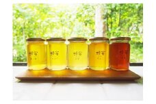 J-14　季節の蜂蜜 いろいろ （180ｇ×5瓶)【兵庫県たつの市産　蜂蜜】