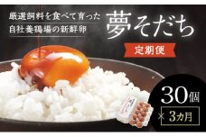J-61【3カ月定期便】お届け日時の指定必須「夢そだち30個」厳選飼料を食べて育った自社養鶏場の新鮮卵を♪