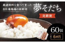 E-24【6カ月定期便】お届け日時の指定必須「夢そだち60個」厳選飼料を食べて育った自社養鶏場の新鮮卵を♪