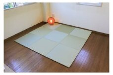 C-4　洗えるへりなし畳　ミニ半畳60cm　9枚組【畳】