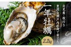 H-160　【12月18日〜3月限定】岩見産殻つき牡蠣2.2kg 