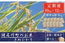 ＜毎月定期便＞猪名川町のおこめ・キヌヒカリ(精米)約9kg×全12回【4013557】