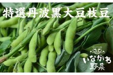 ＜農業女子project!＞丹波黒大豆枝豆(枝ナシ)1kg【1431200】