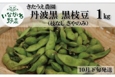 きたうえ農園　丹波黒 黒枝豆  1kg（さやのみ）