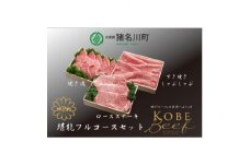 神戸ビーフ　堪能フルコースセット　合計1600g　INGWFC10【1431609】