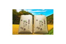＜お米食べ比べセット(玄米)＞猪名川町産キヌヒカリ・コシヒカリ(各10kg)【1432252】