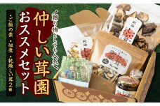 仲しい茸園のおススメセット【1435562】