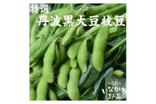 いながわ農業女子　丹波黒大豆枝豆(枝なし莢のみ3kg)【1497447】
