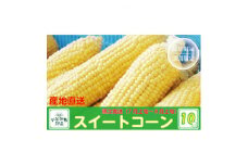 ＜産地直送＞猪名川町産スイートコーン　10本(約3～4kg)【1497773】