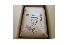 猪名川町のお米・コシヒカリ(精米)約9kg【1497780】