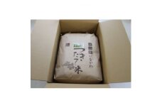 ＜令和6年産＞猪名川町のお米コシヒカリ(玄米)10kg【1514223】