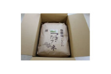 ＜令和6年産＞猪名川町のお米コシヒカリ(玄米)10kg【1514223】