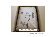 ＜令和6年産＞猪名川町のお米コシヒカリ(玄米)20kg【1514226】