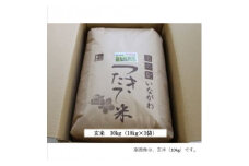 ＜令和6年産＞猪名川町のお米コシヒカリ(玄米)30kg【1514230】