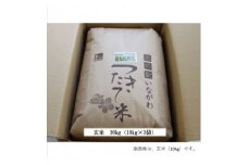 ＜令和6年産＞猪名川町のお米コシヒカリ(玄米)30kg【1514230】