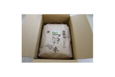 ＜令和6年産＞猪名川町のお米コシヒカリ(精米)約9kg【1514232】