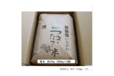 ＜令和6年産＞猪名川町のお米コシヒカリ(精米)約18kg【1514233】