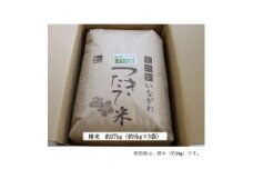 ＜令和6年産＞猪名川町のお米コシヒカリ(精米)約27kg【1514236】
