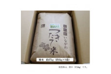 ＜令和6年産＞猪名川町のお米コシヒカリ(精米)約27kg【1514236】