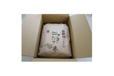 ＜令和6年産＞猪名川町のお米キヌヒカリ(精米)約9kg【1514240】