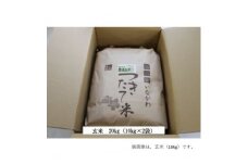 ＜令和6年産＞猪名川町のお米キヌヒカリ(玄米)20kg【1514239】