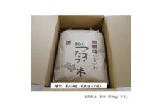 ＜令和6年産＞猪名川町のお米キヌヒカリ(精米)約18kg【1514241】