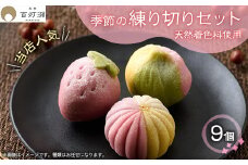 天然着色料の練り切りセット【1501478】