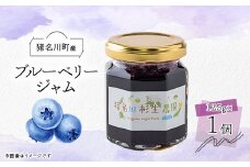 ＜猪名川町産＞ブルーベリージャム　125g×1個【1587977】