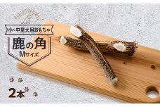 ＜小型～中型犬向け＞鹿の角Mサイズ丸々1本×2本(小型～中型犬用約15cm2本)【1596498】