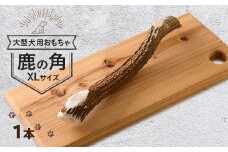 ＜大型犬向け＞鹿の角XLサイズ丸々1本(大型犬用約30cm)【1596791】