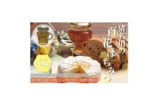 猪名川の百花はちみつ(桜)2本セット【1499235】